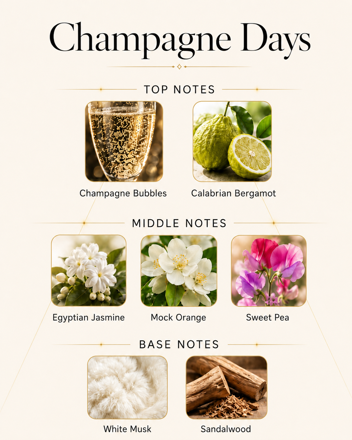 Champagne Days